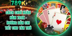 Cách Chơi Ngầu Hầm 789K