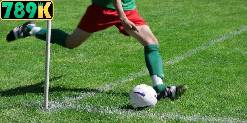 Khám phá các biến thể dự đoán góc phổ biến hiện nay